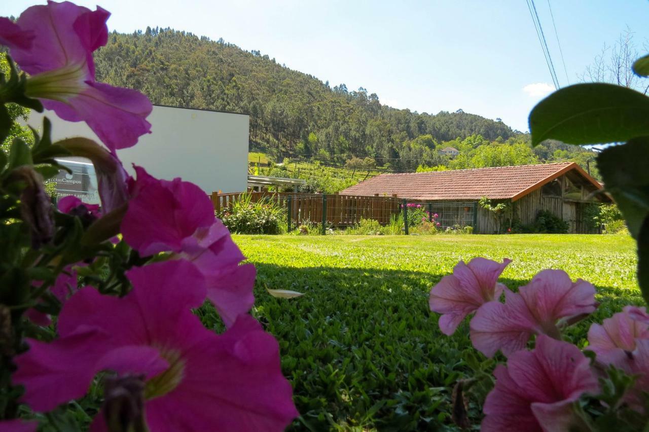 Quinta Do Botas Βίλα Moimenta Εξωτερικό φωτογραφία